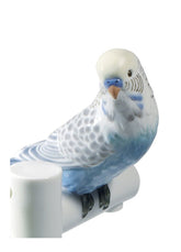 Parrot Romance Plate